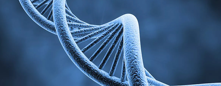 ДНК Human Herpes virus VI - количественный